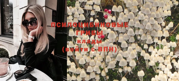 мяу мяу мука Абинск