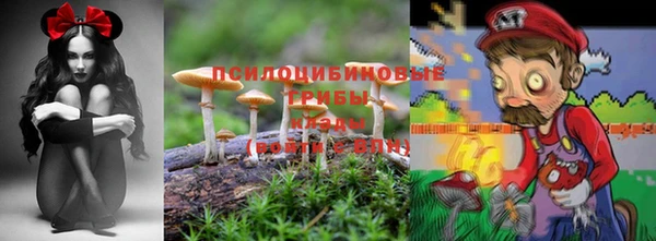 прущие грибы Алексеевка